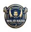Walid Haddi — Personal Coach